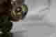 item-133986304=5