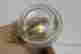 item-133977512=5