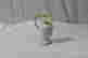 item-133977719=2