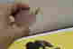 item-133978104=6