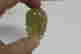 item-133978642=4