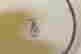 item-133978643=5