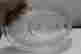 item-134374683=4