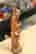 item-136512494=4