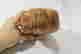 item-136550725=6