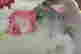 item-136551247=2