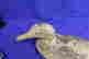item-137100896=6