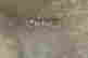 item-137101258=8