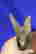 item-137098442=6