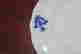item-137610313=6