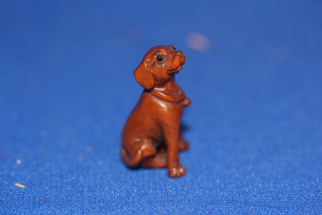Small Japanese Netsuke of a Dog: signed - well carved - 1 1/8" tall - wood