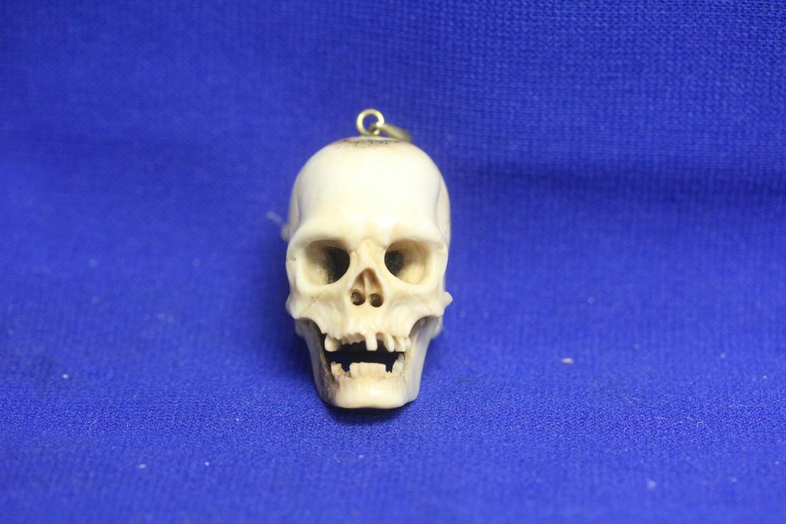 Memento Mori Skull: bone with 9kt or gold filled bail, most likely Northern Europe - probably 19th century or earlier - 1 5/8" tall without the bail, bovine