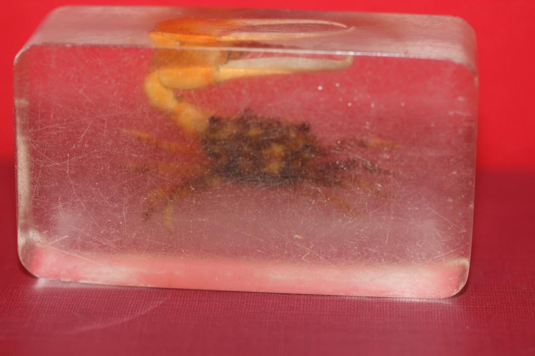 A Vintage Lucite Crab Block: 2 7/8" x 1 5/8" - worn