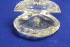 A Swarovski Crystal Pearl on Shell