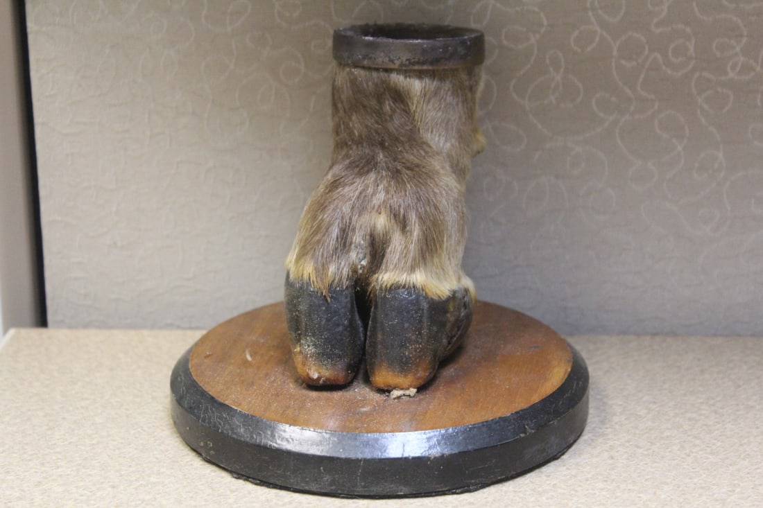 Texidermy Hoof Ashtray: on stand - 5 1/2" tall