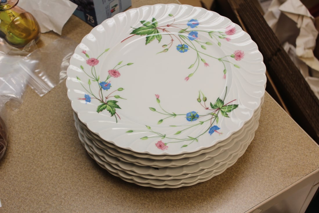 Set of 8 Haviland Limoges Dinner Plates: florence pattern - 10 3/8" in diameter each