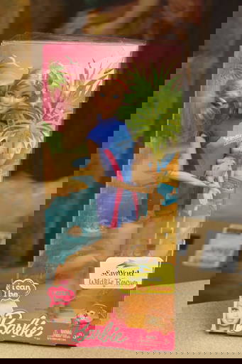 Seaworld Rescue Barbie Doll