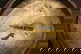 item-208629150=7