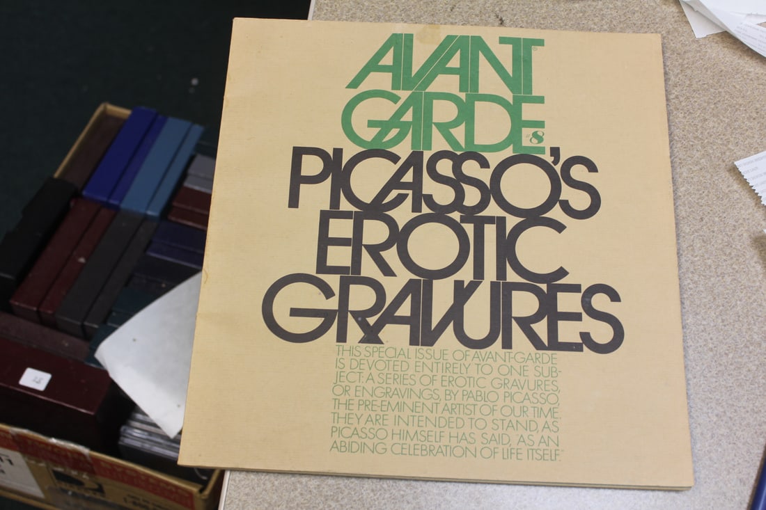 Picasso's Erotic Gravures: paperback