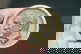 item-209090692=1