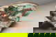 item-210192619=4