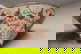 item-210192619=5
