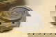 item-210192619=9