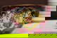 item-210192726=1