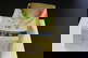 item-210192839=2