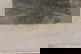 item-210192842=5