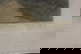 item-210192842=6