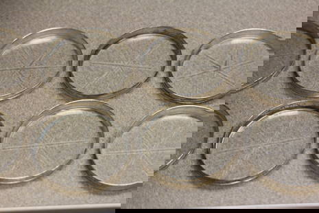 Set of 8 Sterling Rimmed Glass Coasters: etched glass - marked sterling - 3 inches in diameter