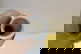 item-210194315=8