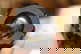 item-210567555=2