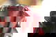 item-210567555=4