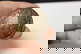 item-210567813=1