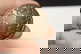 item-210567813=2