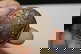 item-210567813=5