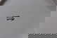 item-210573089=6