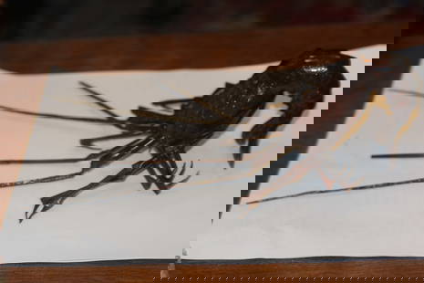 Antique Japanese Copper Crayfish: signed - Meiji period - articulated - approximately 13" long to tip of antena - rare