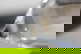 item-210573854=4