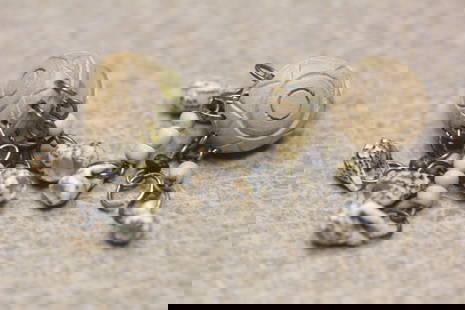 Pair of Shell Earrings: as shown