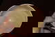 item-210987295=2