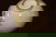 item-210987295=4