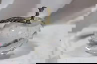 A Control Bubble Paperweight