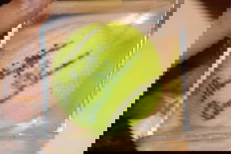 Martina Hingis Signed Tennis Ball: inside a lucite cube
