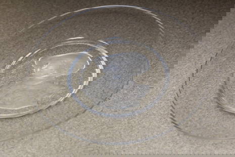 Signed Val St Lambert Crystal Artist Plate: 7 7/8" in diameter