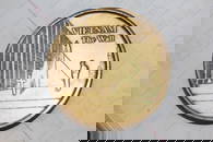 Bronze Vietnam Medal
