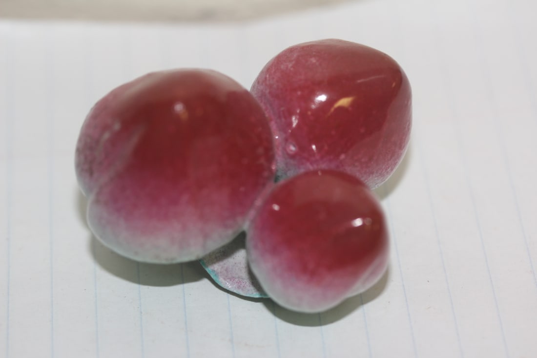 Chinese Porcelain Fruit (1 of 4)