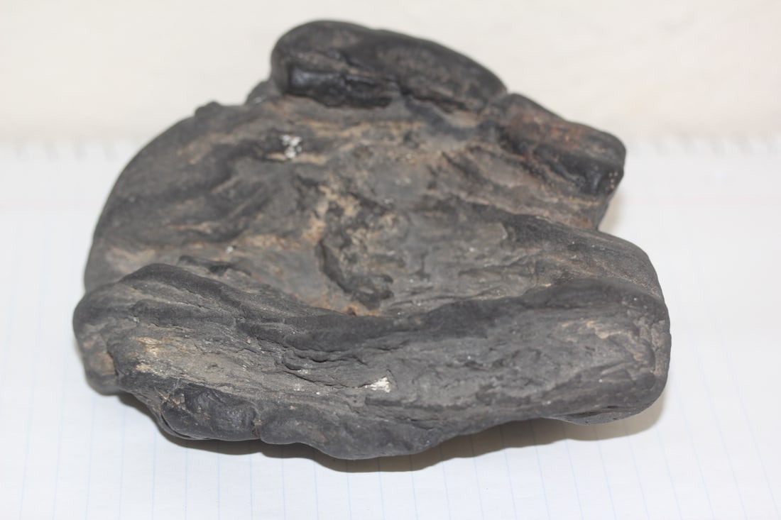 Possible Large Dinosaur Poop or Dung: 680 grams - 5 1/2" across